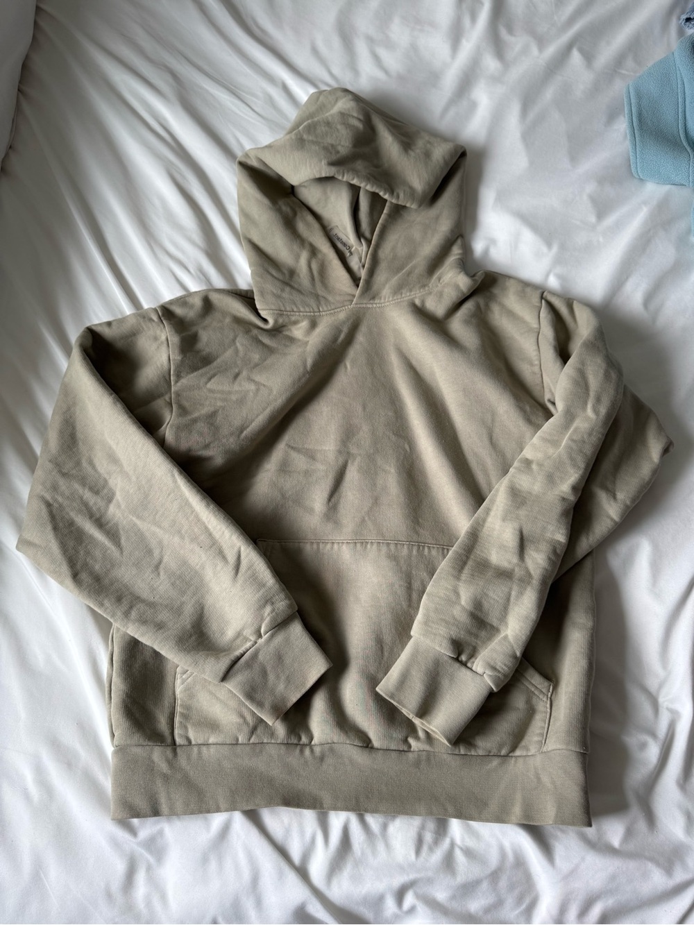 Aritzia Hoodie